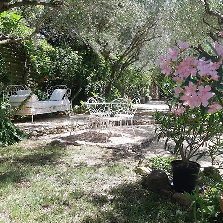 Mas Luis Alvarez La Capelle-et-Masmolene Εξωτερικό φωτογραφία